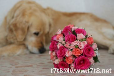 70岁老人生日祝福语(30句)（祝70岁老人生日短句）