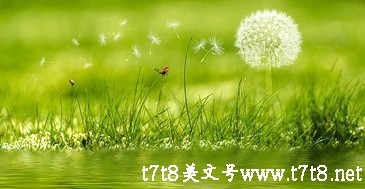 2022新年微信祝福语虎年（新春祝福语虎年祝福2022）